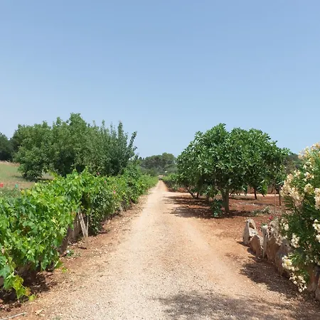 Trullo Filippo With Pool Near